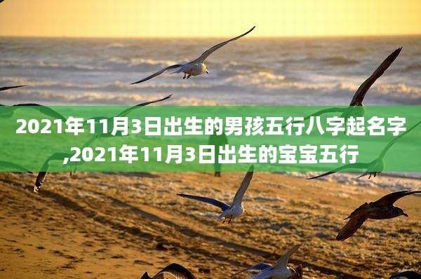 2021年11月3日出生的男孩五行八字起名字,2021年11月3日出生的宝宝五行