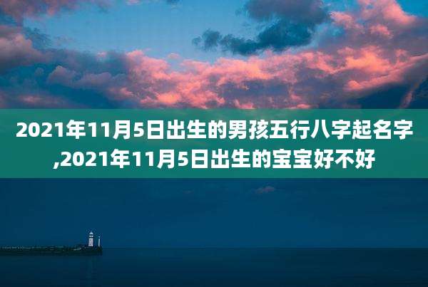 2021年11月5日出生的男孩五行八字起名字,2021年11月5日出生的宝宝好不好