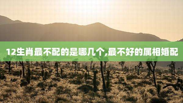 12生肖最不配的是哪几个,最不好的属相婚配