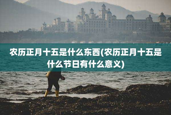 农历正月十五是什么东西(农历正月十五是什么节日有什么意义)