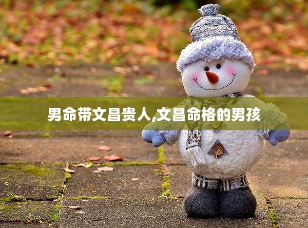 男命带文昌贵人,文昌命格的男孩