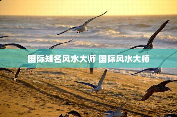 国际知名风水大师 国际风水大师