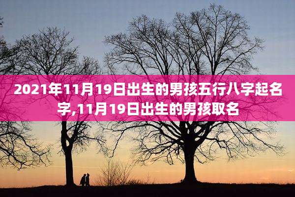 2021年11月19日出生的男孩五行八字起名字,11月19日出生的男孩取名