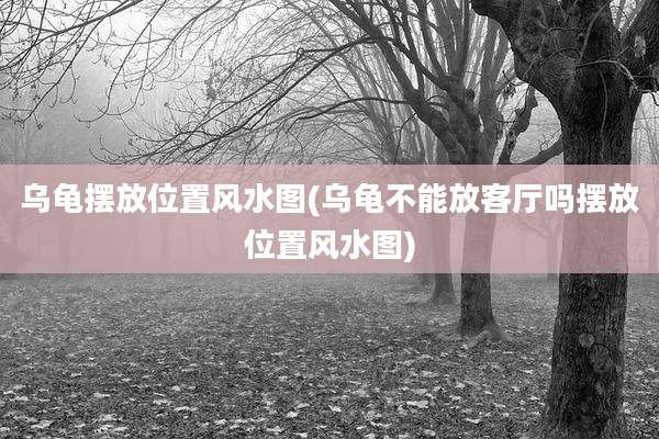 乌龟摆放位置风水图(乌龟不能放客厅吗摆放位置风水图)