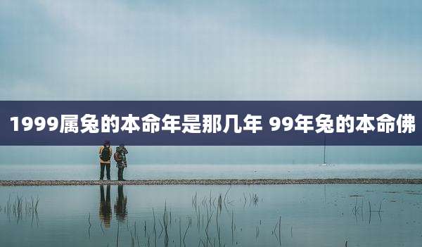 1999属兔的本命年是那几年 99年兔的本命佛