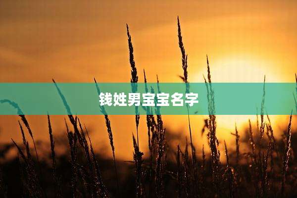 钱姓男宝宝名字