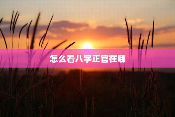怎么看八字正官在哪