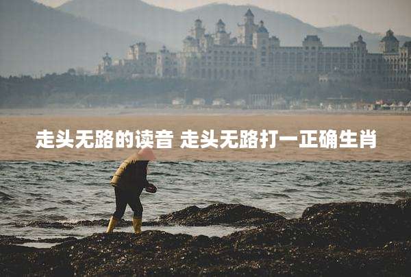 走头无路的读音 走头无路打一正确生肖