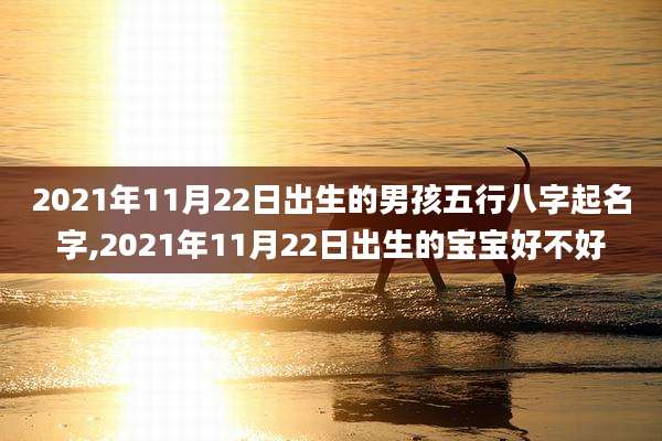 2021年11月22日出生的男孩五行八字起名字,2021年11月22日出生的宝宝好不好
