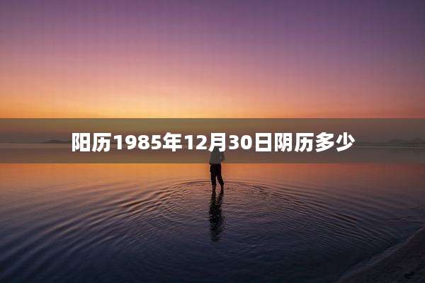 阳历1985年12月30日阴历多少
