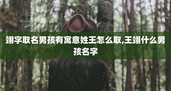 翊字取名男孩有寓意姓王怎么取,王翊什么男孩名字