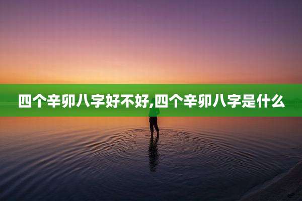 四个辛卯八字好不好,四个辛卯八字是什么