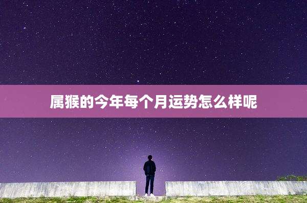 属猴的今年每个月运势怎么样呢