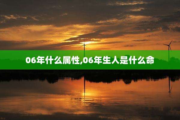 06年什么属性,06年生人是什么命