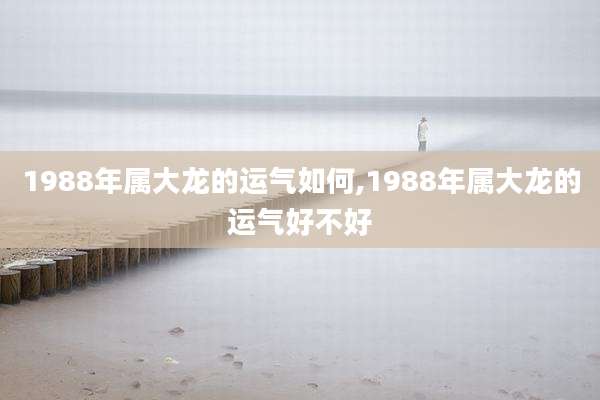 1988年属大龙的运气如何,1988年属大龙的运气好不好