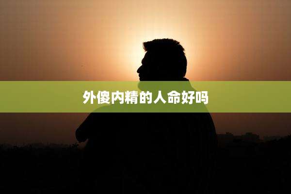 外傻内精的人命好吗
