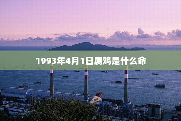 1993年4月1日属鸡是什么命