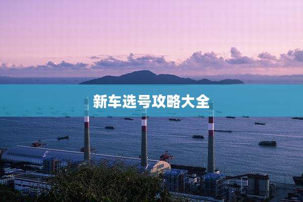 新车选号攻略大全