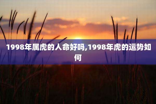 1998年属虎的人命好吗,1998年虎的运势如何