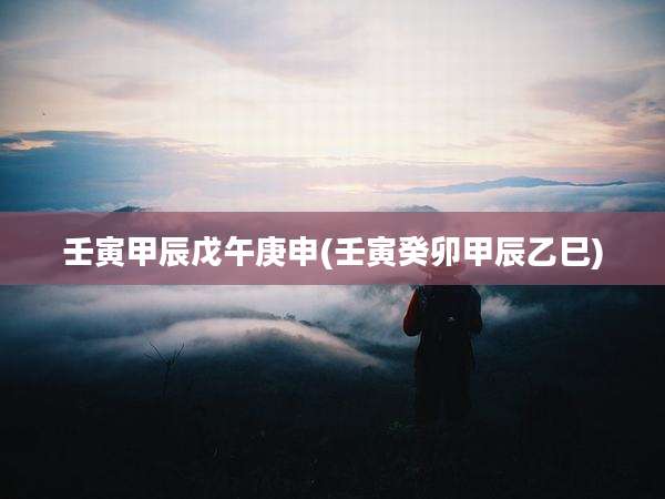 壬寅甲辰戊午庚申(壬寅癸卯甲辰乙巳)