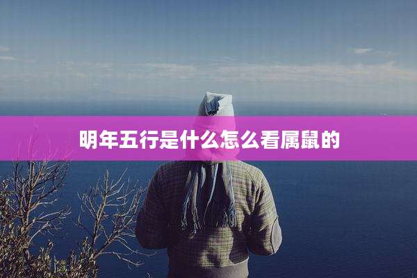 明年五行是什么怎么看属鼠的
