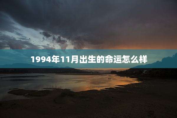 1994年11月出生的命运怎么样