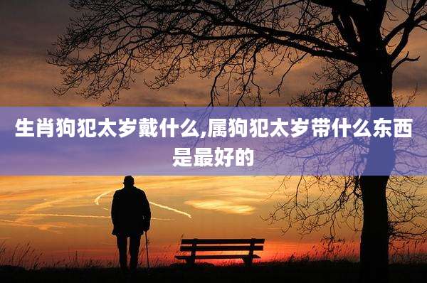 生肖狗犯太岁戴什么,属狗犯太岁带什么东西是最好的