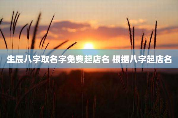生辰八字取名字免费起店名 根据八字起店名