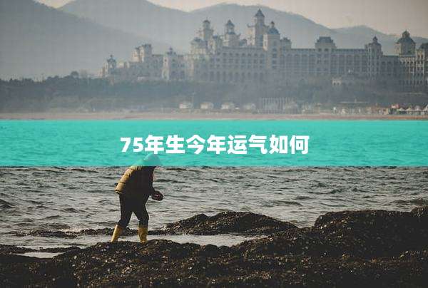 75年生今年运气如何