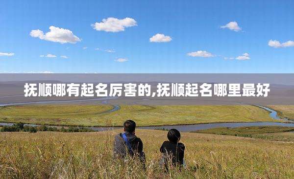 抚顺哪有起名厉害的,抚顺起名哪里最好