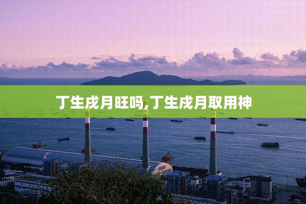 丁生戌月旺吗,丁生戍月取用神