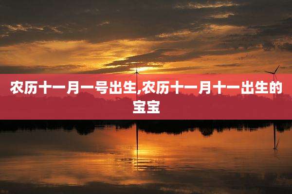 农历十一月一号出生,农历十一月十一出生的宝宝