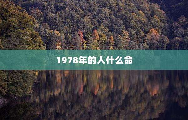 1978年的人什么命