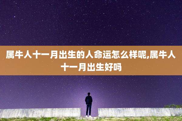 属牛人十一月出生的人命运怎么样呢,属牛人十一月出生好吗