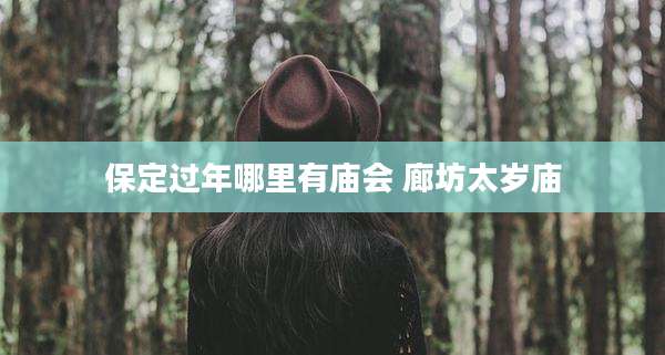 保定过年哪里有庙会 廊坊太岁庙