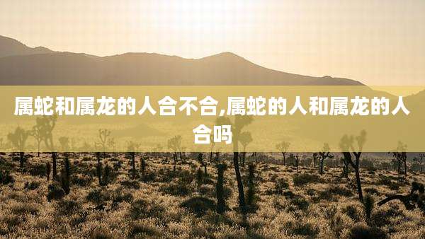 属蛇和属龙的人合不合,属蛇的人和属龙的人合吗
