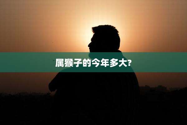 属猴子的今年多大?