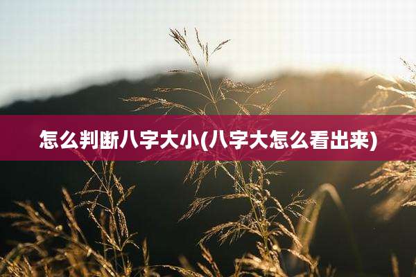 怎么判断八字大小(八字大怎么看出来)
