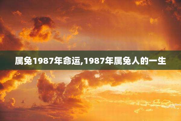 属兔1987年命运,1987年属兔人的一生