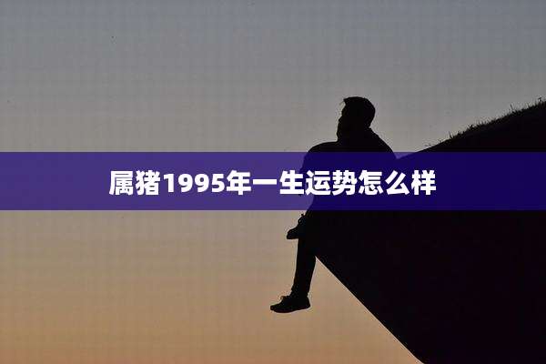 属猪1995年一生运势怎么样