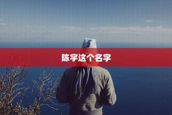 陈宇这个名字