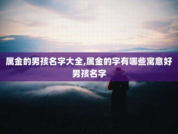 属金的男孩名字大全,属金的字有哪些寓意好男孩名字