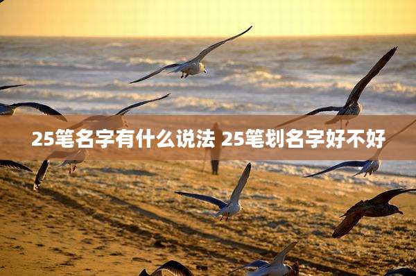 25笔名字有什么说法 25笔划名字好不好