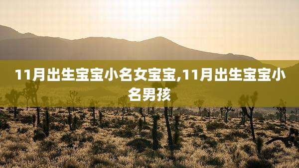 11月出生宝宝小名女宝宝,11月出生宝宝小名男孩