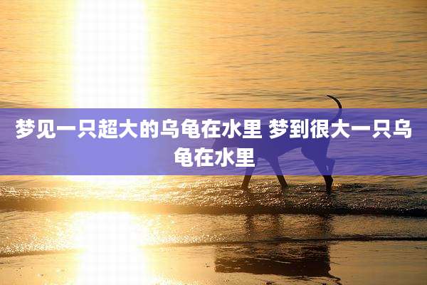 梦见一只超大的乌龟在水里 梦到很大一只乌龟在水里