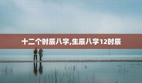 十二个时辰八字,生辰八字12时辰