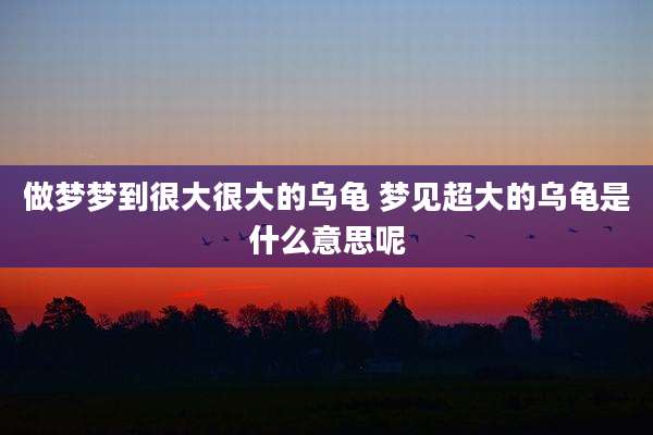 做梦梦到很大很大的乌龟 梦见超大的乌龟是什么意思呢