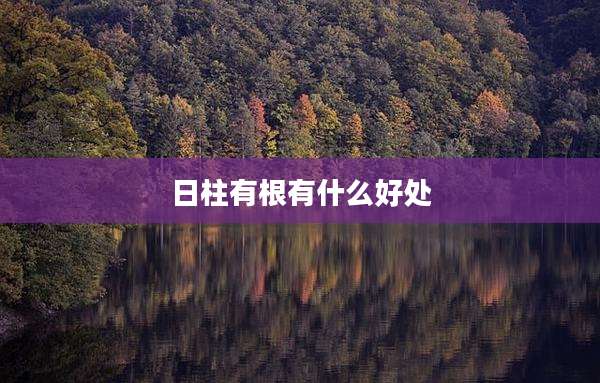 日柱有根有什么好处