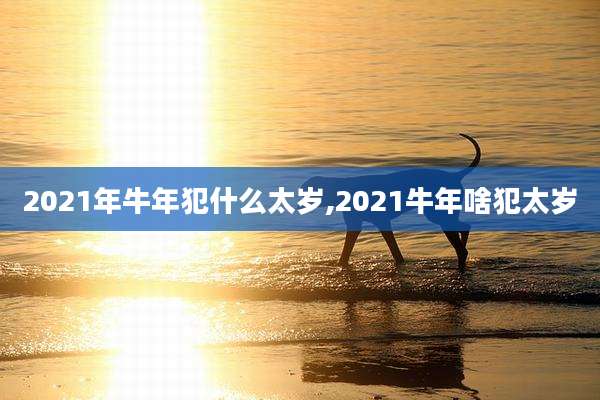 2021年牛年犯什么太岁,2021牛年啥犯太岁