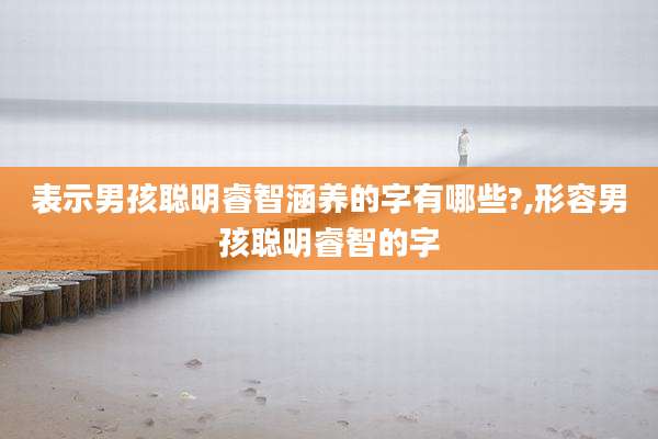 表示男孩聪明睿智涵养的字有哪些?,形容男孩聪明睿智的字